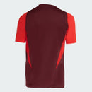 Camisa Internacional 24/25 Adidas Treino Torcedor